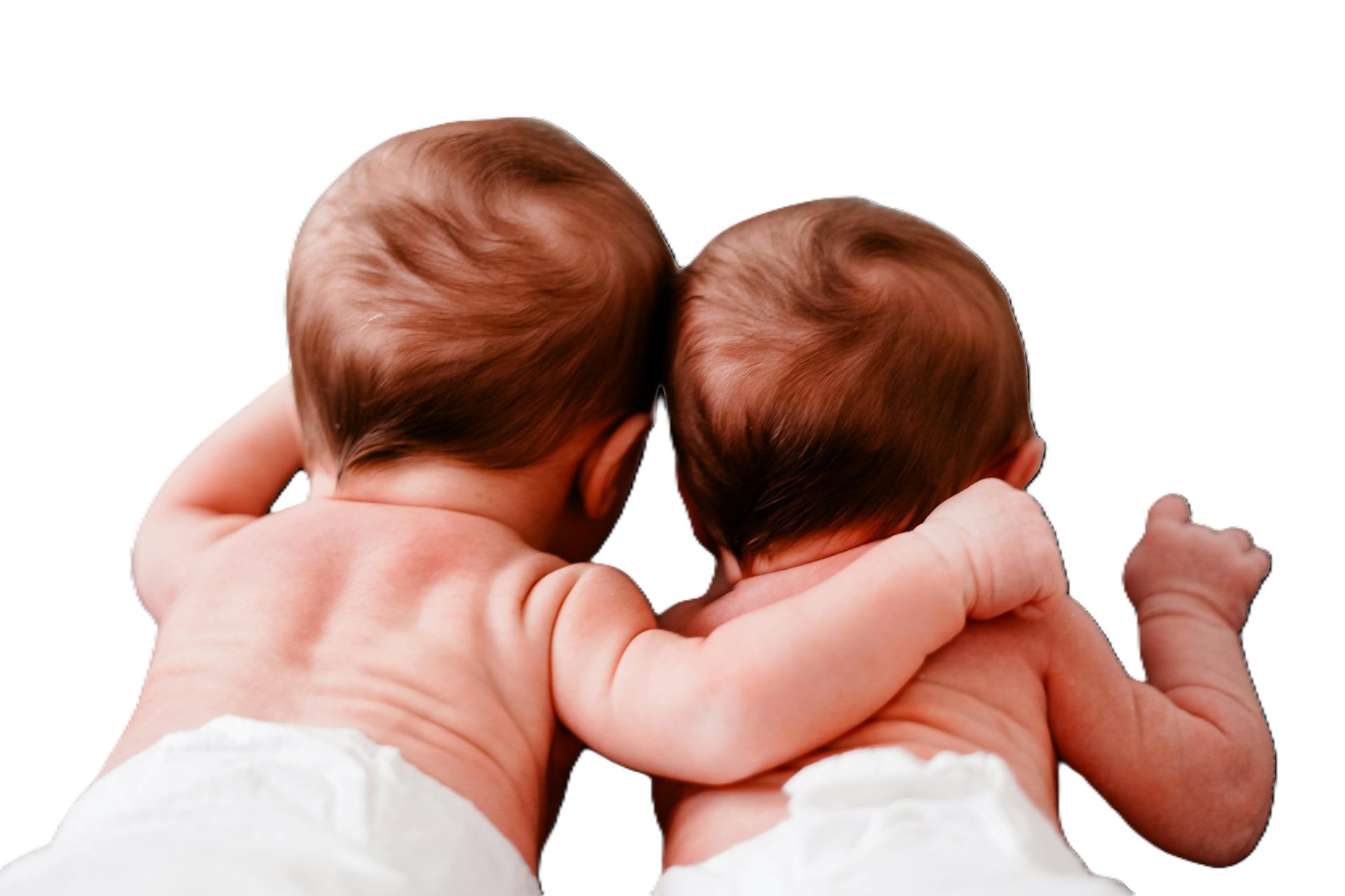 1e877774-cbfc-4d3c-9b3a-bbc85b85225d